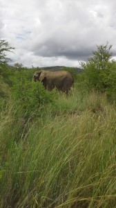 Nationalpark Pretoria